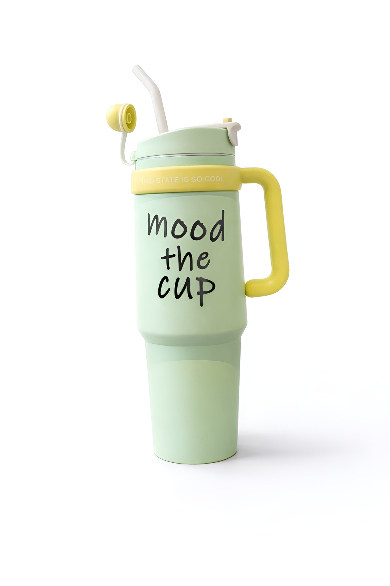 Powder Coated Stainless Steel Mug__Green